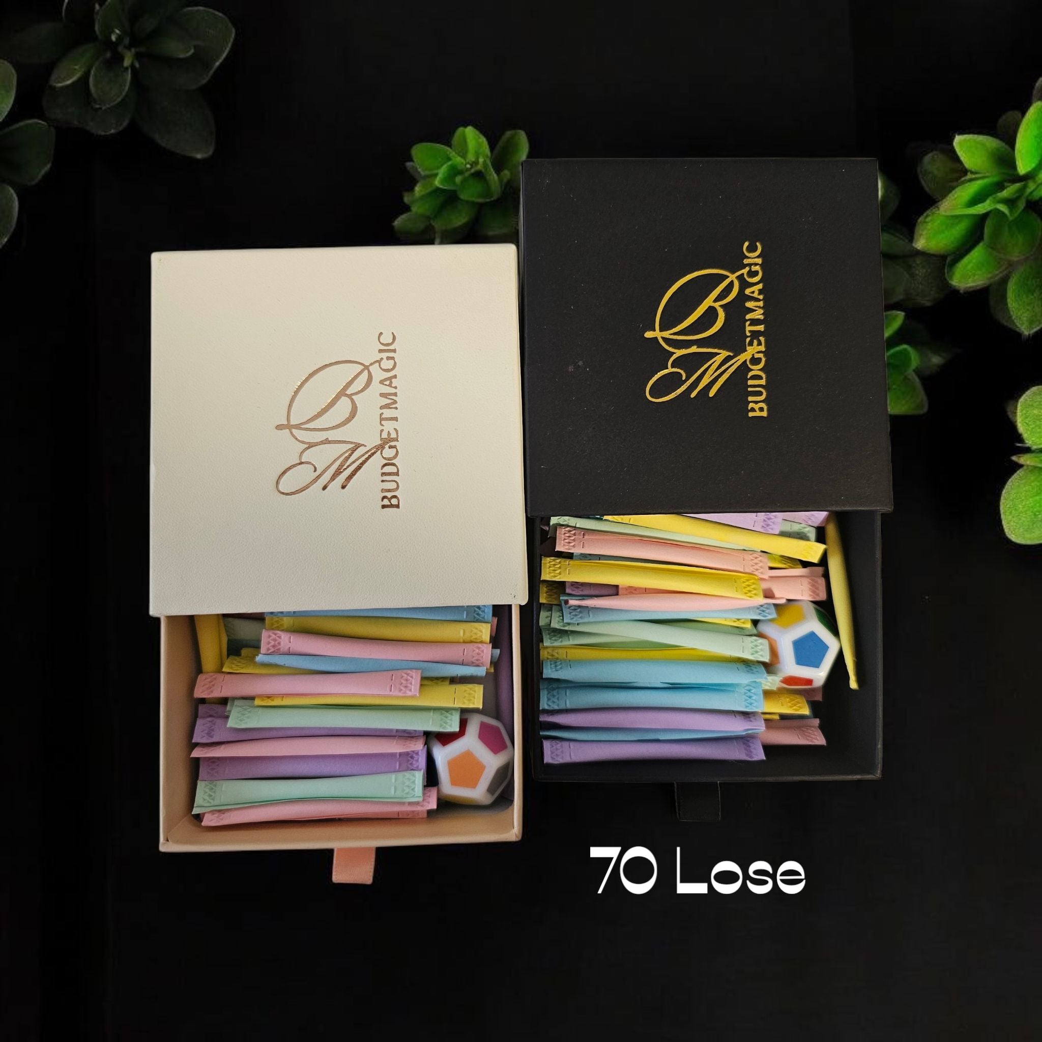 Adventure of Budgeting 3