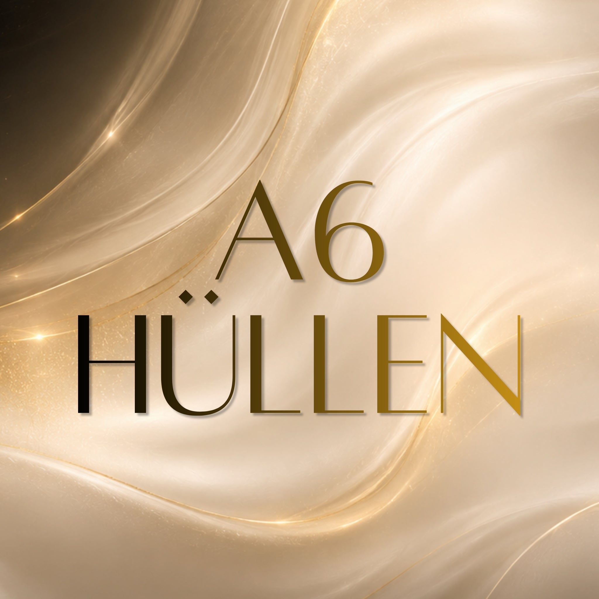 A6 Hüllen