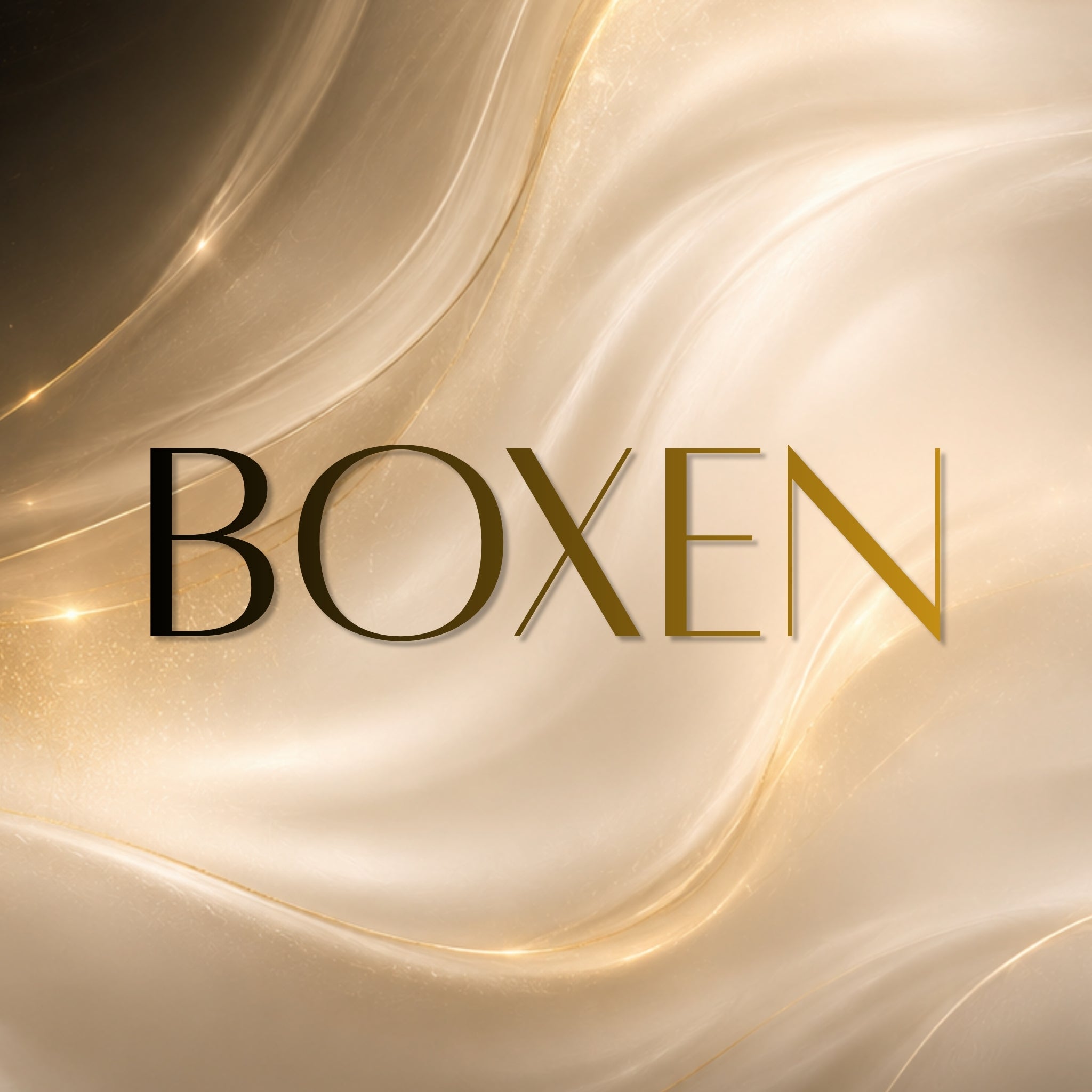 Budgeting & Office Boxen
