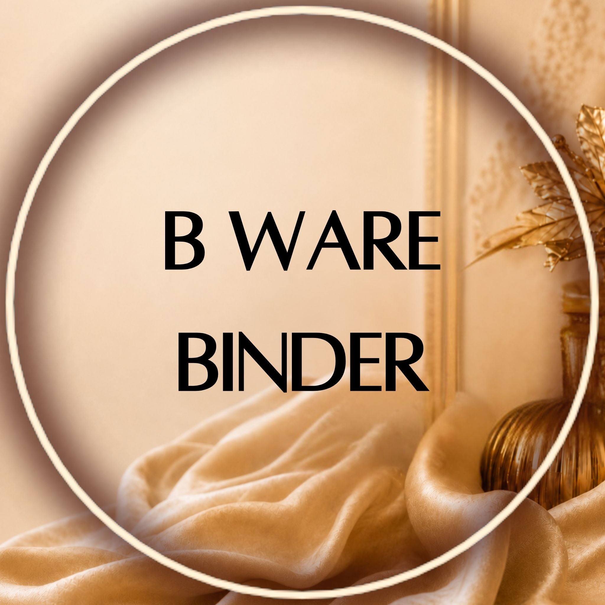 B-Ware Binder